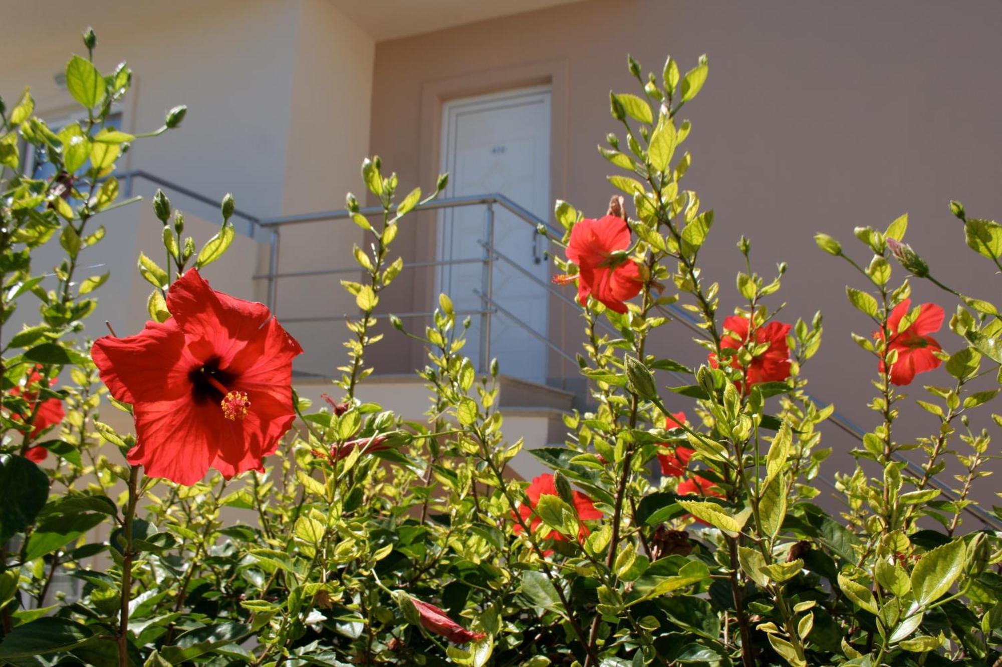 Amaryllis Front Beach Hotel ラルドス エクステリア 写真