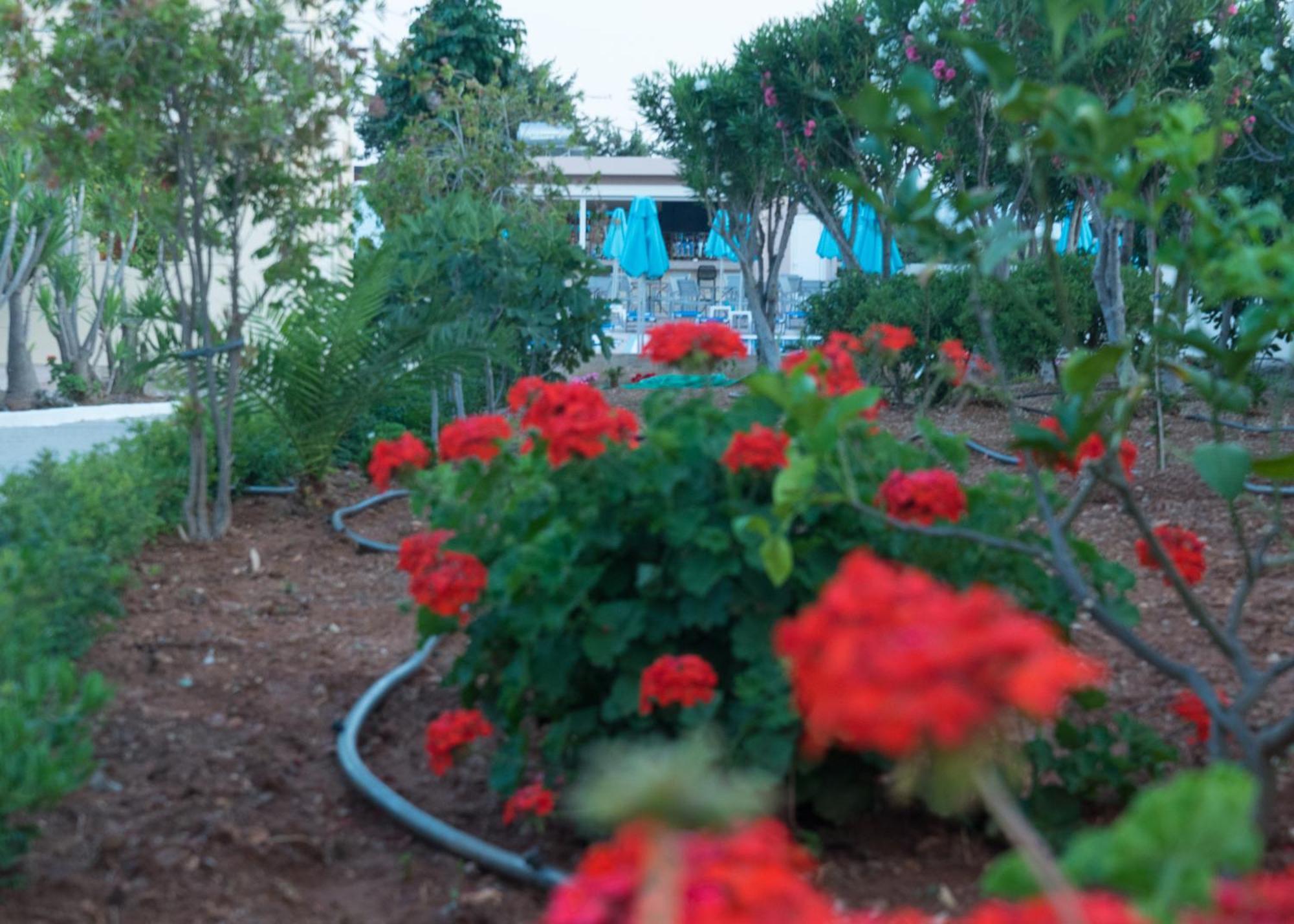 Amaryllis Front Beach Hotel ラルドス エクステリア 写真