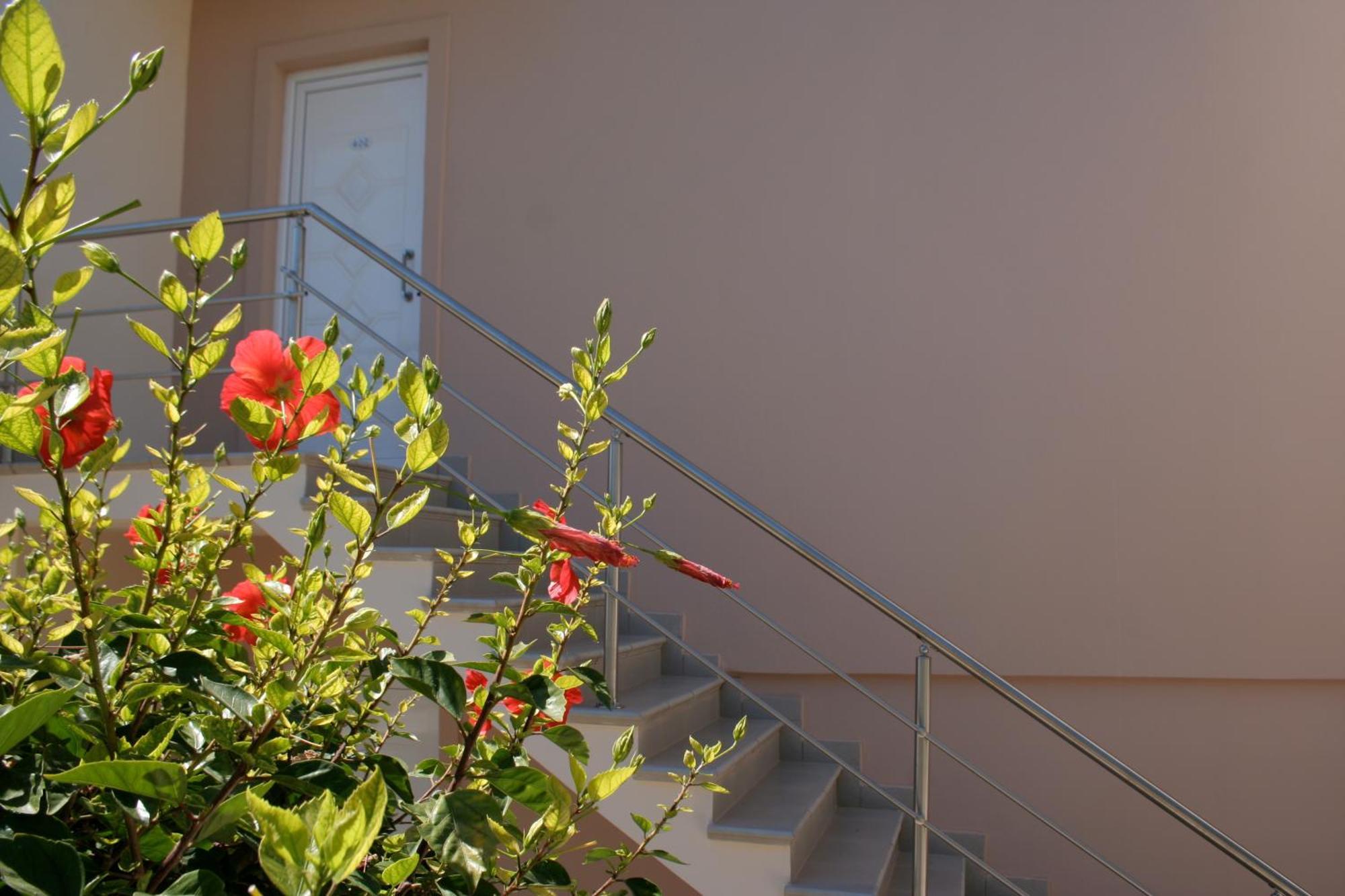Amaryllis Front Beach Hotel ラルドス エクステリア 写真