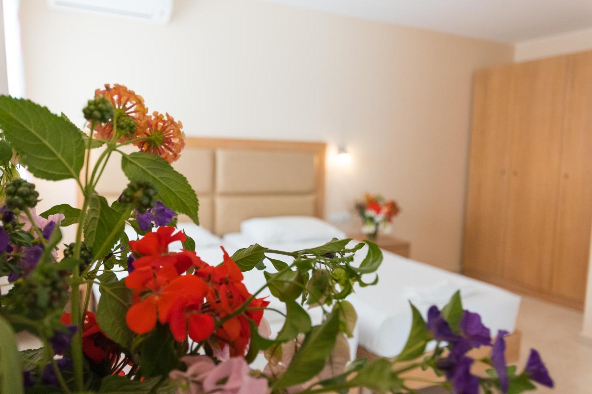 Amaryllis Front Beach Hotel ラルドス エクステリア 写真